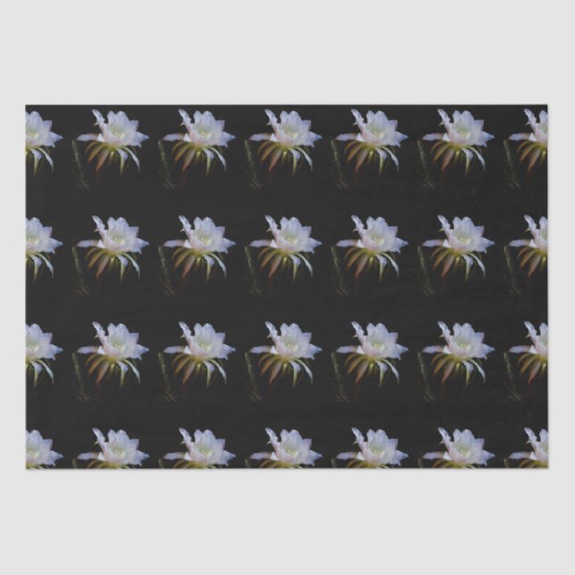 Elegant Queen of the Night Cactus Flower Tissue Paper (Front)