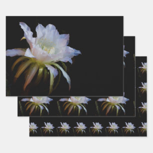 Elegant Queen of the Night Cactus Flower Wrapping Paper Sheet
