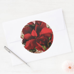 Elegant Red Christmas Poinsettia Classic Round Sticker