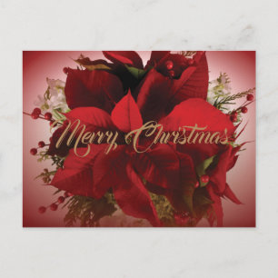 Elegant Red Christmas Poinsettia Postcard