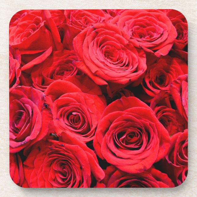 Elegant red floral flowers Red Roses rose garden Coaster (Front)