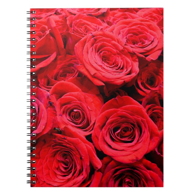 Elegant red floral flowers Red Roses rose garden Notebook (Front)