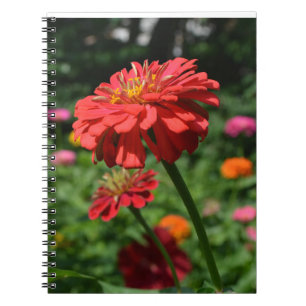 Elegant red orange floral flower garden notebook
