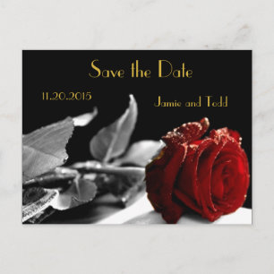 Elegant Red Rose Save the Date Announcement Postcard
