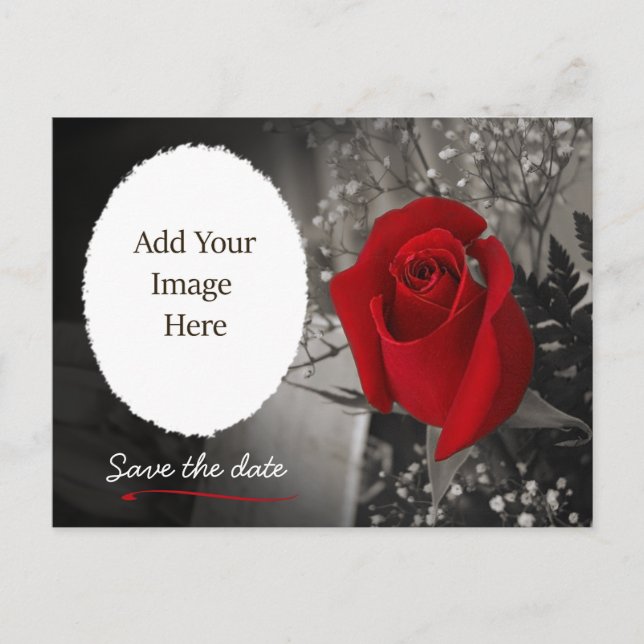 Elegant Red Rose Save the Date Photo Announcement Postcard (Front)
