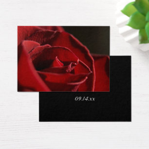 Elegant Red Rose Thank You Wedding Favour Tags
