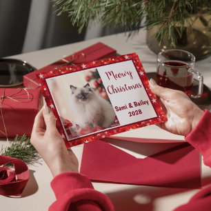 Elegant Red Stars Holiday Photo