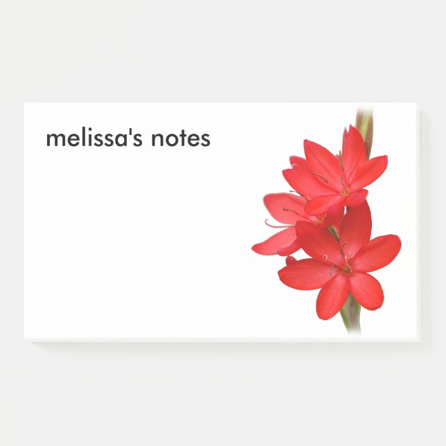 Elegant River Lily / Hesperantha Coccinea Post-it Notes (Front)