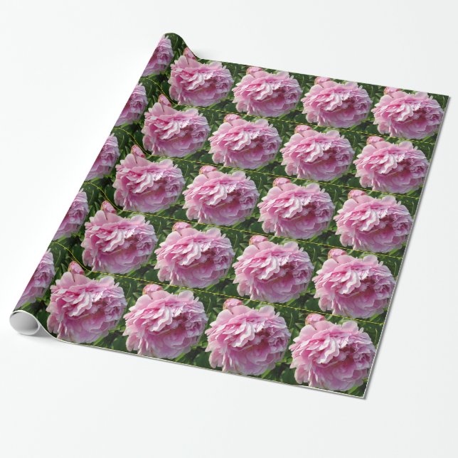 Elegant romanic pink floral flowers pink Peonies Wrapping Paper (Unrolled)