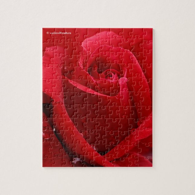 Elegant Romantic Red Rose Jigsaw Puzzle (Vertical)
