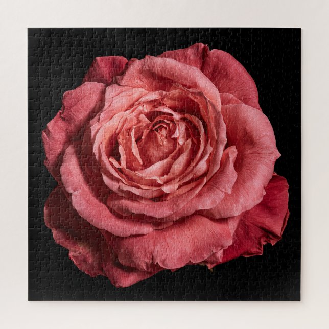 Elegant Rose Collection on Black Jigsaw Puzzle (Vertical)