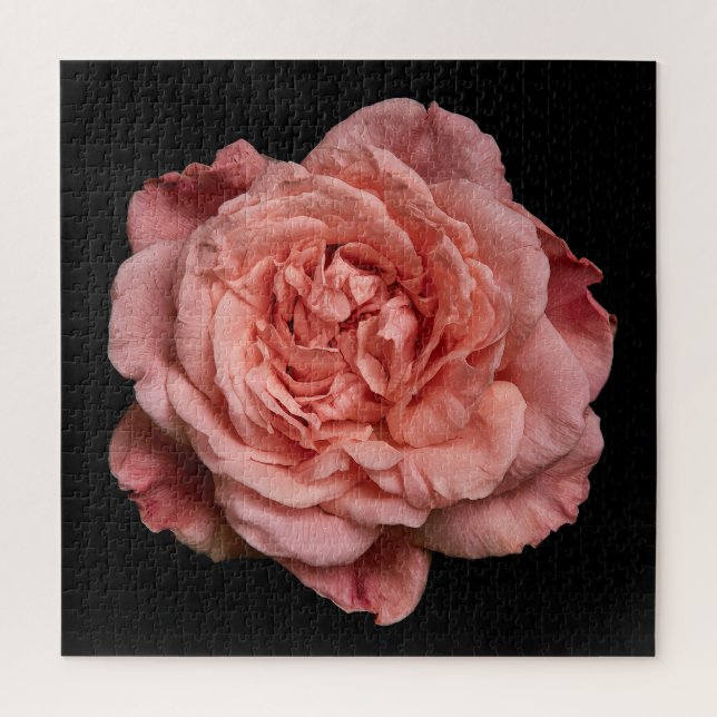 Elegant Rose Collection on Black Jigsaw Puzzle (Vertical)