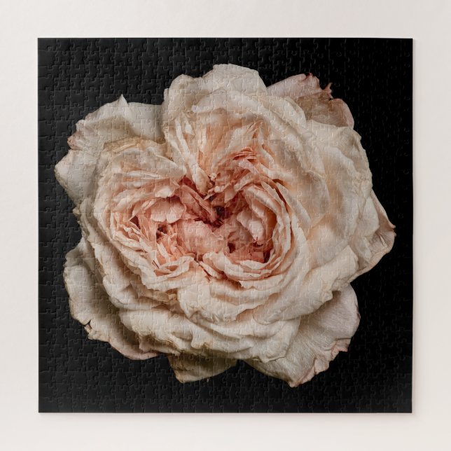 Elegant Rose Collection on Black Jigsaw Puzzle (Vertical)