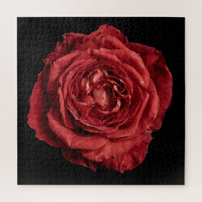 Elegant Rose Collection on Black Jigsaw Puzzle (Vertical)