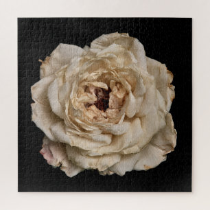 Elegant Rose Collection on Black Jigsaw Puzzle