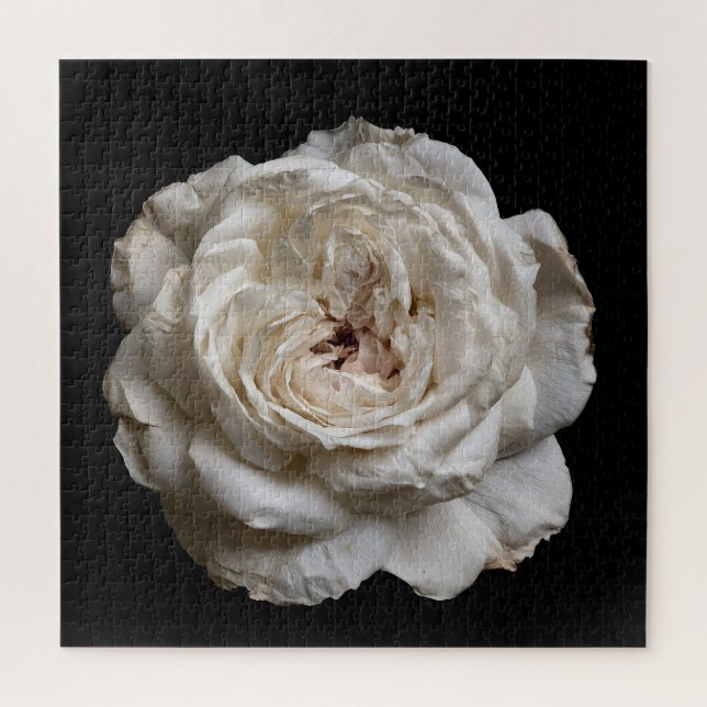 Elegant Rose Collection on Black Jigsaw Puzzle (Vertical)