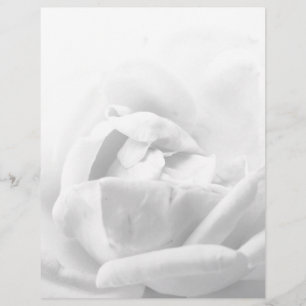 Elegant Rose Flower Floral Black And White Girly Custom Letterhead
