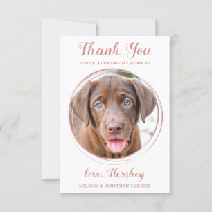 Elegant Rose Gold Custom Dog Photo Pet Wedding Thank You Card