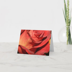 Elegant rose note cards