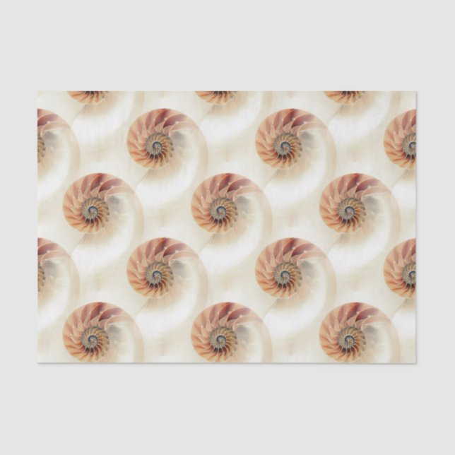 Elegant Shell Pattern Tissue Paper (Front)