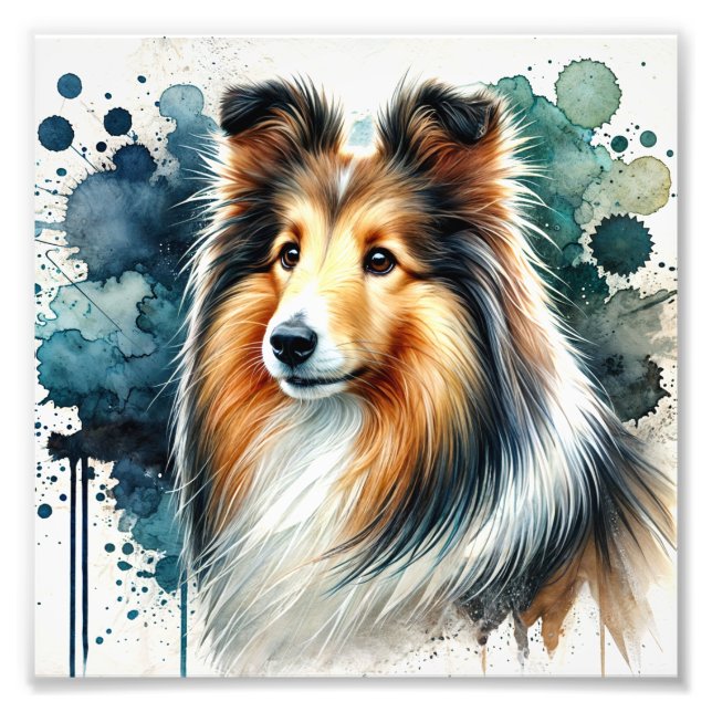 Elegant Shetland Sheepdog Watercolor Art  Photo Print (Front)