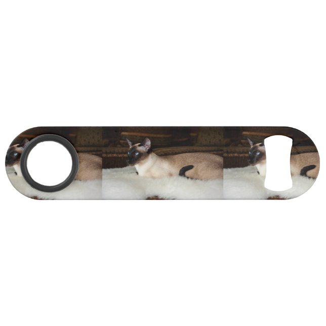 Elegant Siamese Cat (Front (Horizontal))