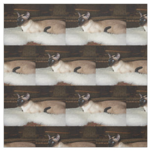 Elegant Siamese Cat Fabric