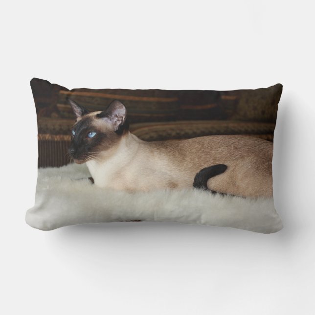Elegant Siamese Cat Lumbar Cushion (Front)