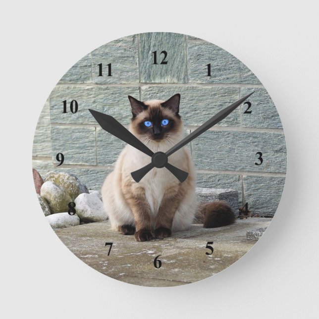 Elegant Siamese Cat Photo Round Clock (Front)