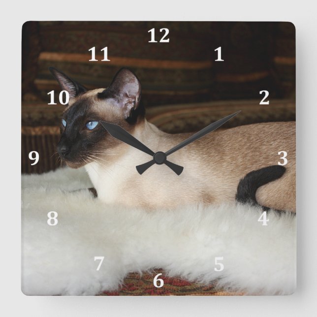 Elegant Siamese Cat Square Wall Clock (Front)