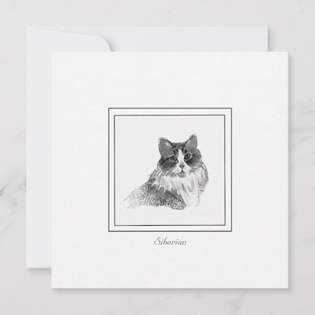 Elegant Siberian Cat Sketch in Charcoal and Chalk Card (Front)