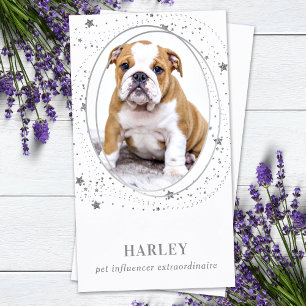 Elegant Silver Stars Custom Photo QR Social Media Business Card