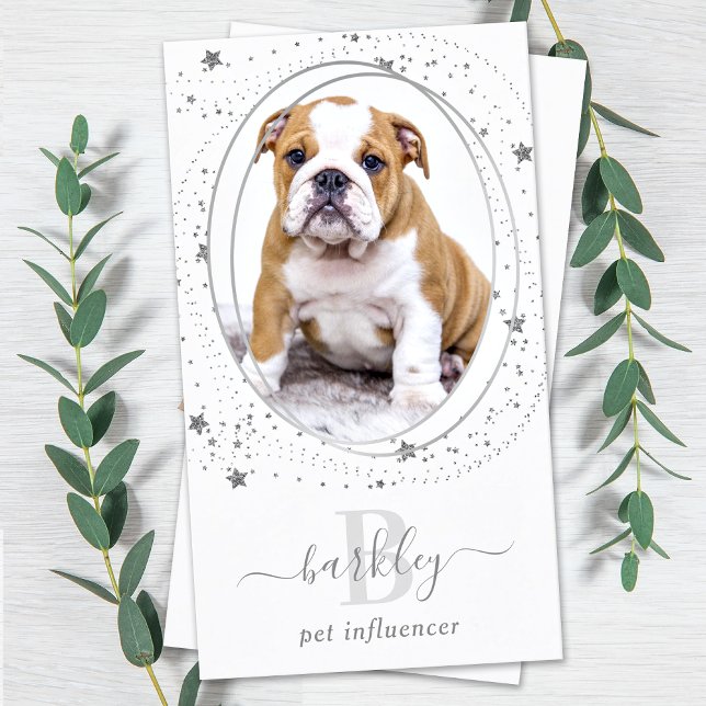 Elegant Silver Stars Photo Social Media Monogram  Business Card (Creator Uploaded)