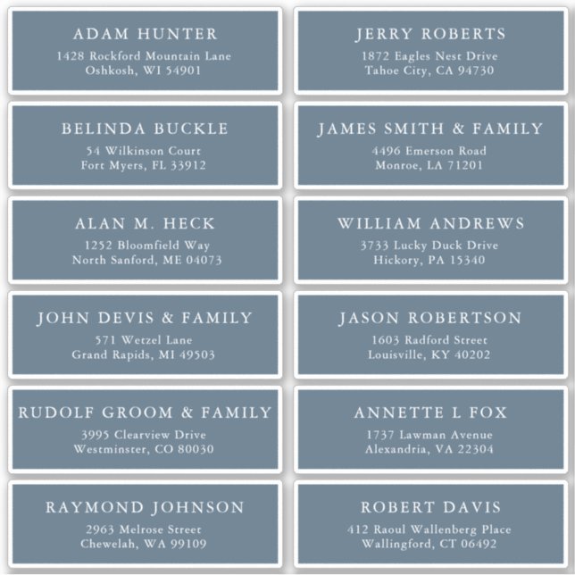 Elegant Simple Minimalist Modern Address Label (Front)