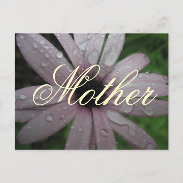Elegant Simple Mother Flower Postcard (Front)