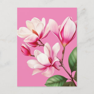 Elegant Simple Pink Flower Floral Art Postcard