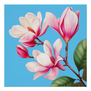 Elegant Simple Pink Flower Floral Art Poster