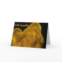 Elegant Single Yellow Rose Close Up With Sympathy
