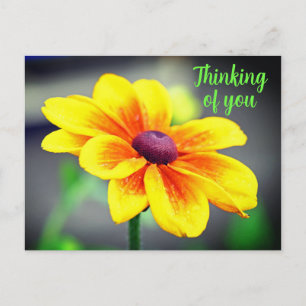 Elegant Single YellowOrange Flower Thinking of You Postcard