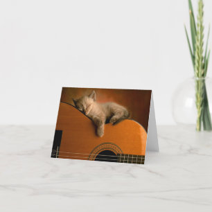 Elegant Sleeping Kitty Notecard