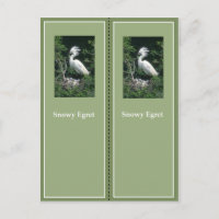 Elegant Snowy Egret Bookmark
