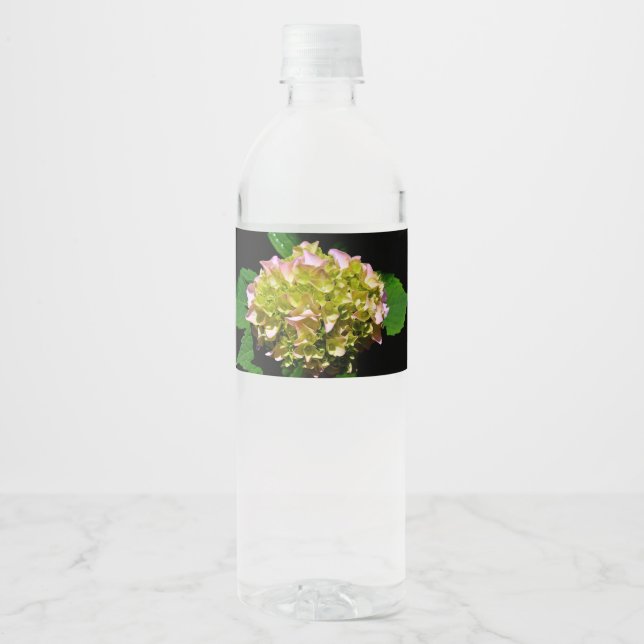 Elegant soft green pink floral hydrangeas water bottle label (Front)