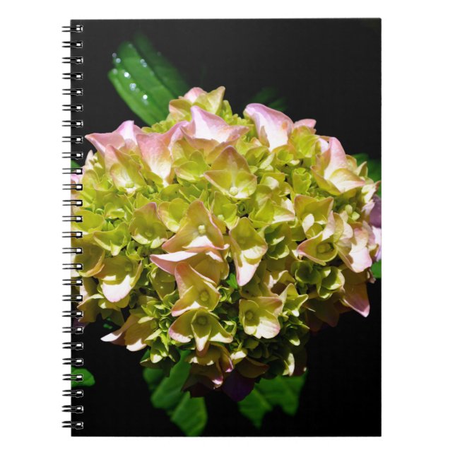 Elegant soft green pink green floral hydrangea spiral notebook (Front)