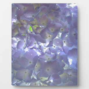 Elegant soft light purple floral purple hydrangeas plaque