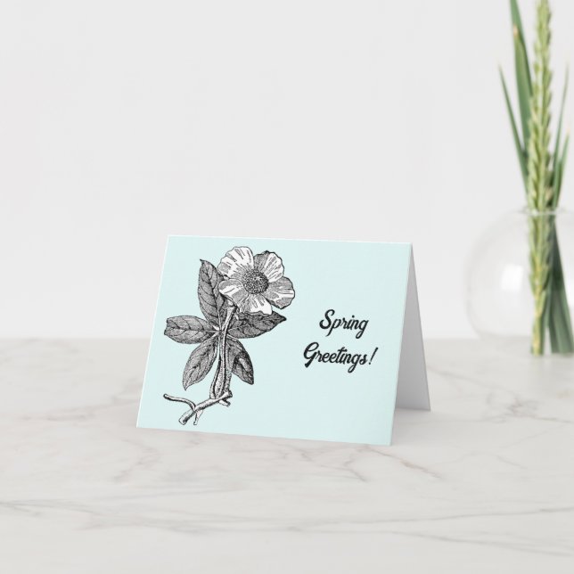 Elegant Spring Flower Botanical Illustration Card (Front)