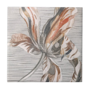 Elegant Striped Tulip Antique Flower Etching Tile