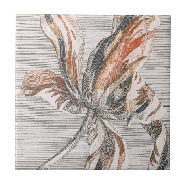 Elegant Striped Tulip Antique Flower Etching Tile (Front)