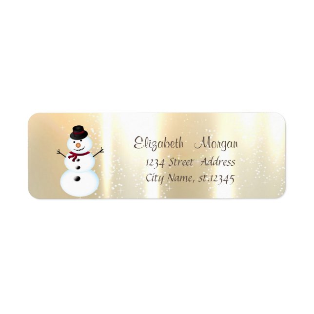 Elegant,Stylish Snowman (Front)