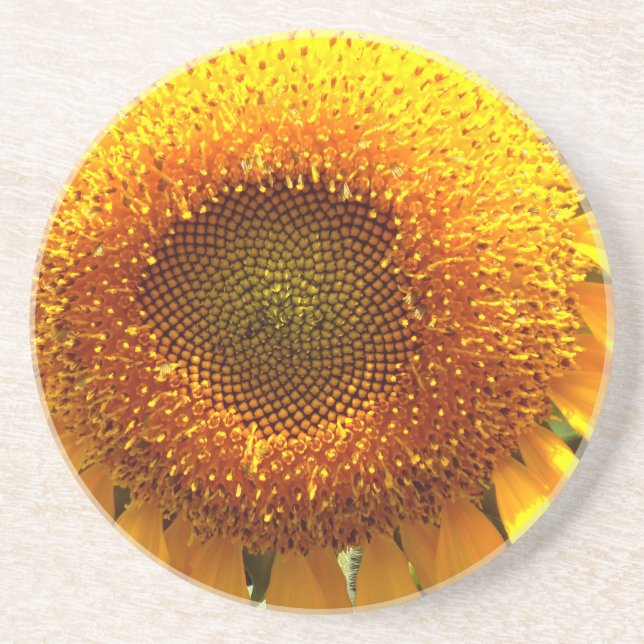 Elegant sunflower photo coaster (Front)