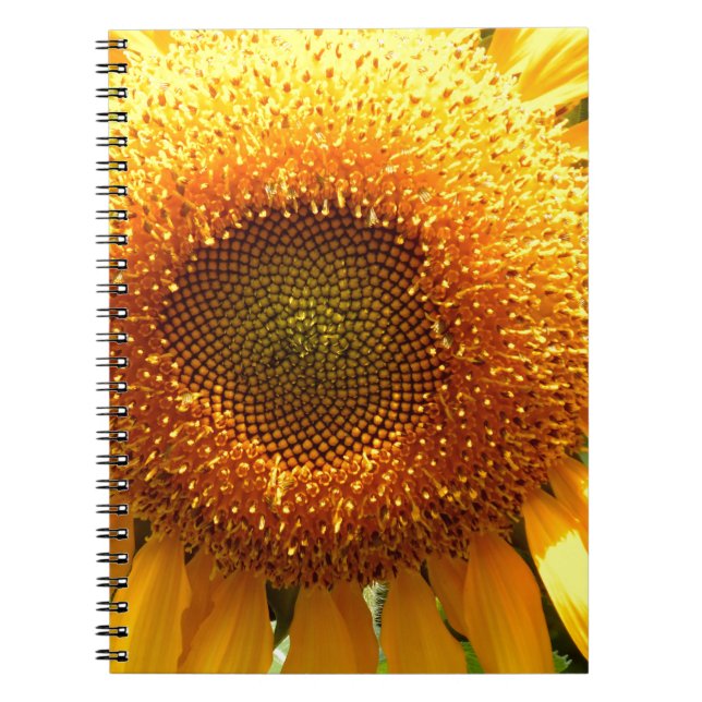 Elegant sunflower photo spiral notebook (Front)